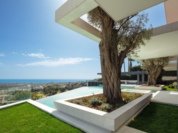 download-2022-03-12T174138-814